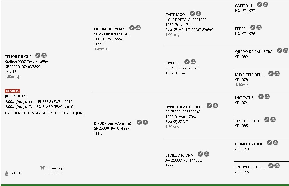 The pedigree of Tenor Du Gue  